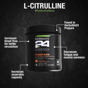 Herbalife 24 prepare review