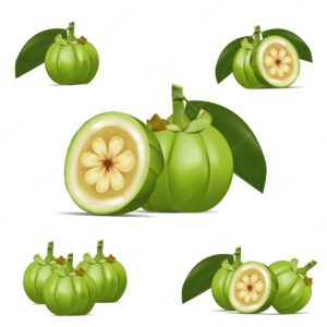 Snack Defense ingredients review