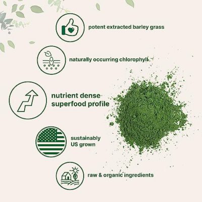 How Greens Booster Supports Digestion