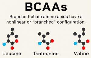 BCAA amino-acids