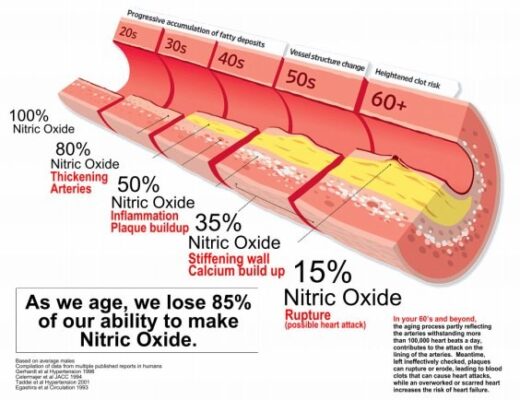 Nitric-Oxide and ageing