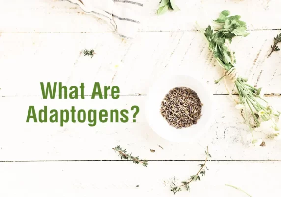 What are adaptogens and how do they work?
